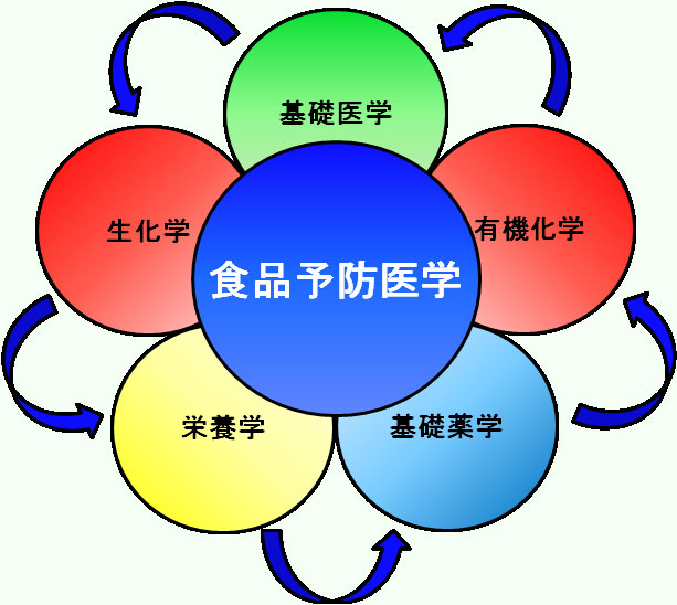 zu6-2.jpg (68622 バイト)